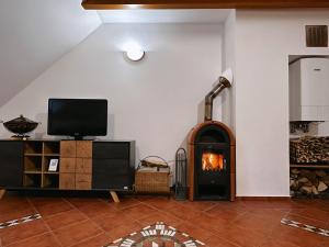 TV a/nebo společenská místnost v ubytování Apartma Neja Rogla