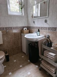 Koupelna v ubytování Apartma Neja Rogla