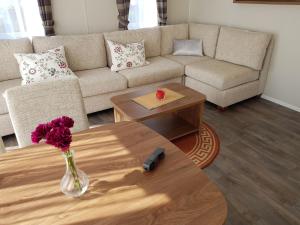 a living room with a couch and a vase with flowers on a table at Luxusmobilheim Seehund am Kransburger See 551 in Kransburg +16 photos