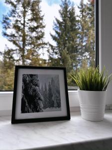 Fotografie z fotogalerie ubytování Apartma Neja Rogla v destinaci Vitanje