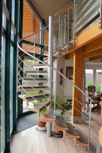 Fotografie z fotogalerie ubytování Ferienwohnung Thüringer Wald v destinaci Bad Salzungen + 9 fotografií