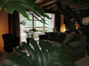 a living room with a couch and a large plant at KaalemHof Angelsen in Birresborn