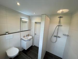 ein Badezimmer mit Toilette, Waschbecken und Dusche in der Unterkunft FeWo Eich im Emsland in Lingen