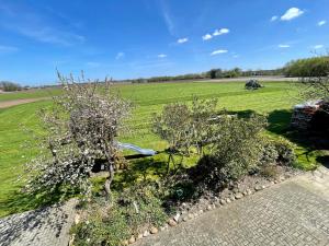 Ein Baum mit weißen Blumen auf einem Feld in der Unterkunft FeWo Eich im Emsland in Lingen + 8 Fotos