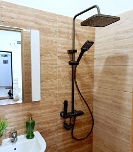 a shower in a bathroom with a sink at Regim Hotelier Pietonală in Oradea +26 photos