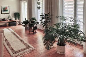 a living room with potted plants on a wooden floor at Lieselhaus in Busenberg