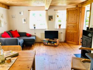 a living room with a couch and a tv at Tante Kamps Hus - Uriges Häuschen mit Garten und Geschichte in Bönstrup