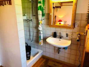 a bathroom with a sink and a mirror and a tub at Tante Kamps Hus - Uriges Häuschen mit Garten und Geschichte in Bönstrup