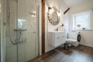 a bathroom with a shower and a toilet and a sink at Westscheune am Mühlendamm in Steinbergkirche +20 photos