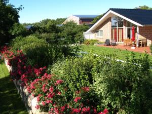 a garden with pink flowers in front of a house at Wellnesshaus "Wind" in Fehmarn