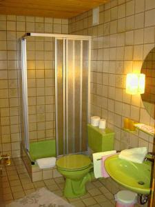 Koupelna v ubytování Mädelegabel