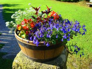 Zahrada ubytování Mädelegabel + 17 fotografií