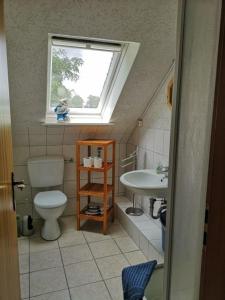 a bathroom with a toilet and a sink and a window at Ferienwohnung zur Forelle - Idyllischer Hof im Grünen in Wester-Ohrstedt +4 photos