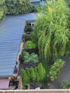 FeWo mit 2 Bädern und 2 Schlafzimmern室外花園 +9 張相片