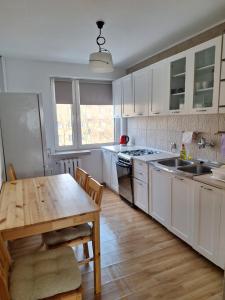 Η κουζίνα ή μικρή κουζίνα στο Apartament Żółkiewski +6 φωτογραφίες