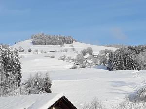 Ferienwohnung Heimatliebe v zimě