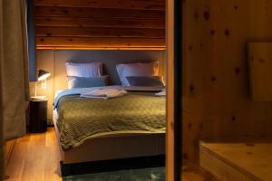 クラウスタール・ツェラーフェルトにあるAlm-Lodgeのベッドルーム1室(二段ベッド1組、白い枕付)