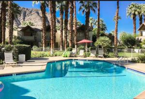 Indian Wells Mtn Cove with Kitchen Living Room Patio Firepit BBQ Tennis Stadium في إينديان ويلس: مسبح امام بيت فيه نخيل