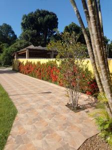 a walkway with flowers and palm trees in a yard at Casa de Praia Aconchegante in Bertioga +6 photos
