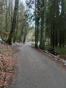 Příroda nedaleko apartmánu