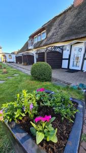 a garden with pink flowers in front of a house at Zimmer Nummer 25 in Kappeln