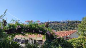 Fotografie z fotogalerie ubytování Hotel El Paso v destinaci Vejer de la Frontera