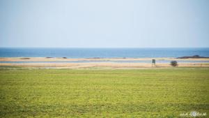 ein grünes Feld mit dem Ozean im Hintergrund in der Unterkunft FerienDüne 8 in Kägsdorf