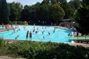 a group of people in a large swimming pool at Boshuisje Zunne in Zelhem