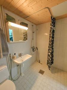un bagno con lavandino e doccia di Eerikinkadun Helmi a Salo Altre 10 foto