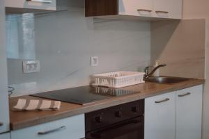 a kitchen with a sink and a counter top at Zelena harmonija in Moravske Toplice
