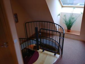 a metal crib in a room with a window at FeWo Abendsonne in Prerow +20 photos