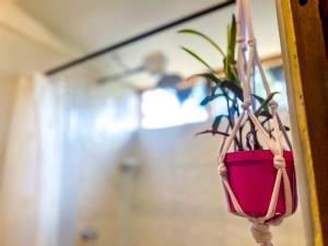 莱瓦镇Glamping Chalet Deluxe cerca al centro de Villa de Leyva - By Serena Morena的相册照片