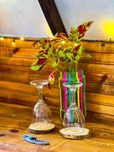 莱瓦镇Glamping Chalet Deluxe cerca al centro de Villa de Leyva - By Serena Morena的相册照片