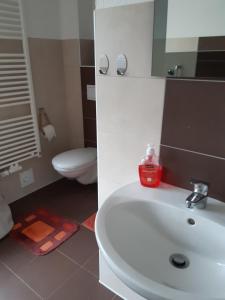 a bathroom with a white sink and a toilet at Ferienwohnung in Gresenhorst +14 photos