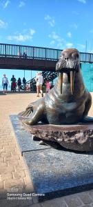 a statue of a seal with its mouth open at ARKA 2 domki na wodzie w Mielnie 400 metrów do morza, rower wodny, Wifi, Parking in Mielno