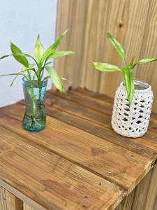 zwei Pflanzen in Vasen auf einem Holztisch in der Unterkunft Studio com ar condicionado e estacionamento gratuito próximo ao aeroporto e praias in Florianópolis