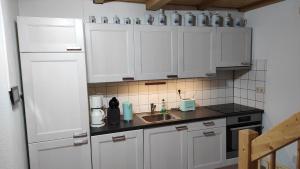 Η κουζίνα ή μικρή κουζίνα στο Ferienhaus Senft