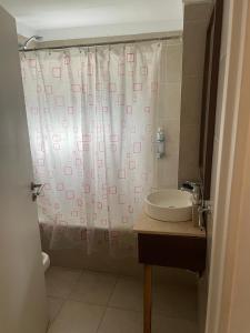 Un baño con lavabo y cortina de ducha. en SOLAR DEL ABASTO, en Buenos Aires