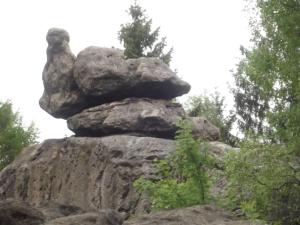 Příroda nedaleko apartmánu