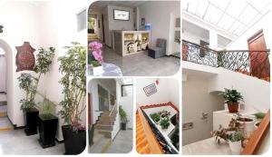 a collage of photos of a house with plants at El Solar Inn in Arequipa