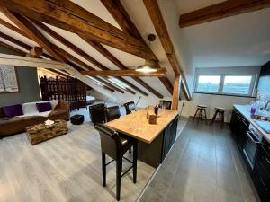 Kuchyňa alebo kuchynka v ubytovaní Loft Apartment 122qm Center Sea view Rijeka