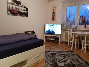 une chambre avec un lit, une télévision et une table dans l'établissement Blütenzauber Apartment No 1, à Mittelnkirchen