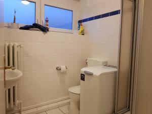 une salle de bain blanche avec toilettes et lavabo dans l'établissement Blütenzauber Apartment No 1, à Mittelnkirchen