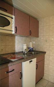 Kuchyň nebo kuchyňský kout v ubytování Ferienhaus Röbiger