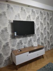 Televízia a/alebo spoločenská miestnosť v ubytovaní Silver Pańska 61