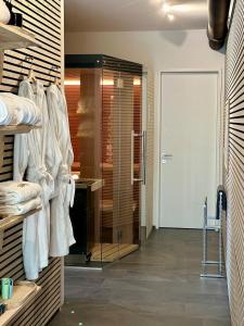 a bathroom with a walk in shower and a door at LAKEVIEW - 2 bedroom stay with Sauna and parking on Lake Constance in Berlingen