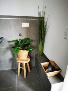 a bathroom with a potted plant and a stool at Rösslerhof Ferienwohnung Rösslerweiher in Schlier-Unterankenreute