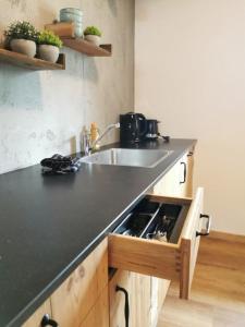 a kitchen with a sink and a counter top at Rösslerhof Ferienwohnung Rösslerweiher in Schlier-Unterankenreute