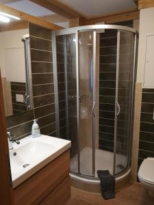 Ένα μπάνιο στο Ferienwohnung Bruno +2 φωτογραφίες