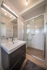 un baño con lavabo y ducha en Backhaus Ost, en Bisdorf